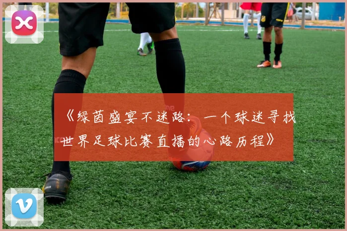 《绿茵盛宴不迷路:一个球迷寻找世界足球比赛直播的心路历程》