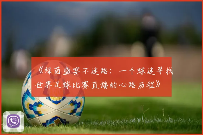 《绿茵盛宴不迷路：一个球迷寻找世界足球比赛直播的心路历程》