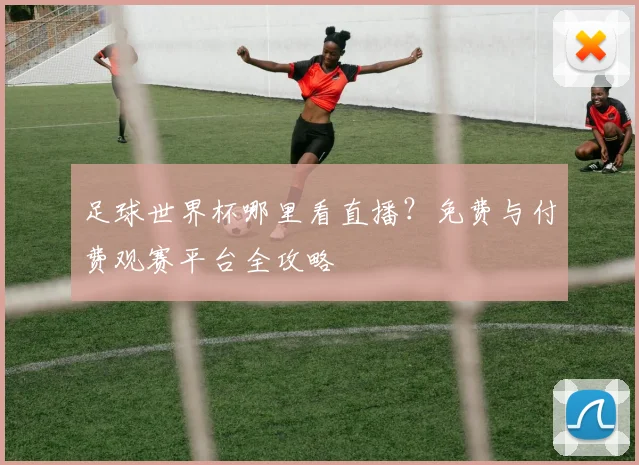 足球世界杯哪里看直播?免费与付费观赛平台全攻略