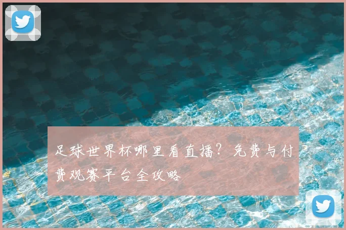 足球世界杯哪里看直播?免费与付费观赛平台全攻略